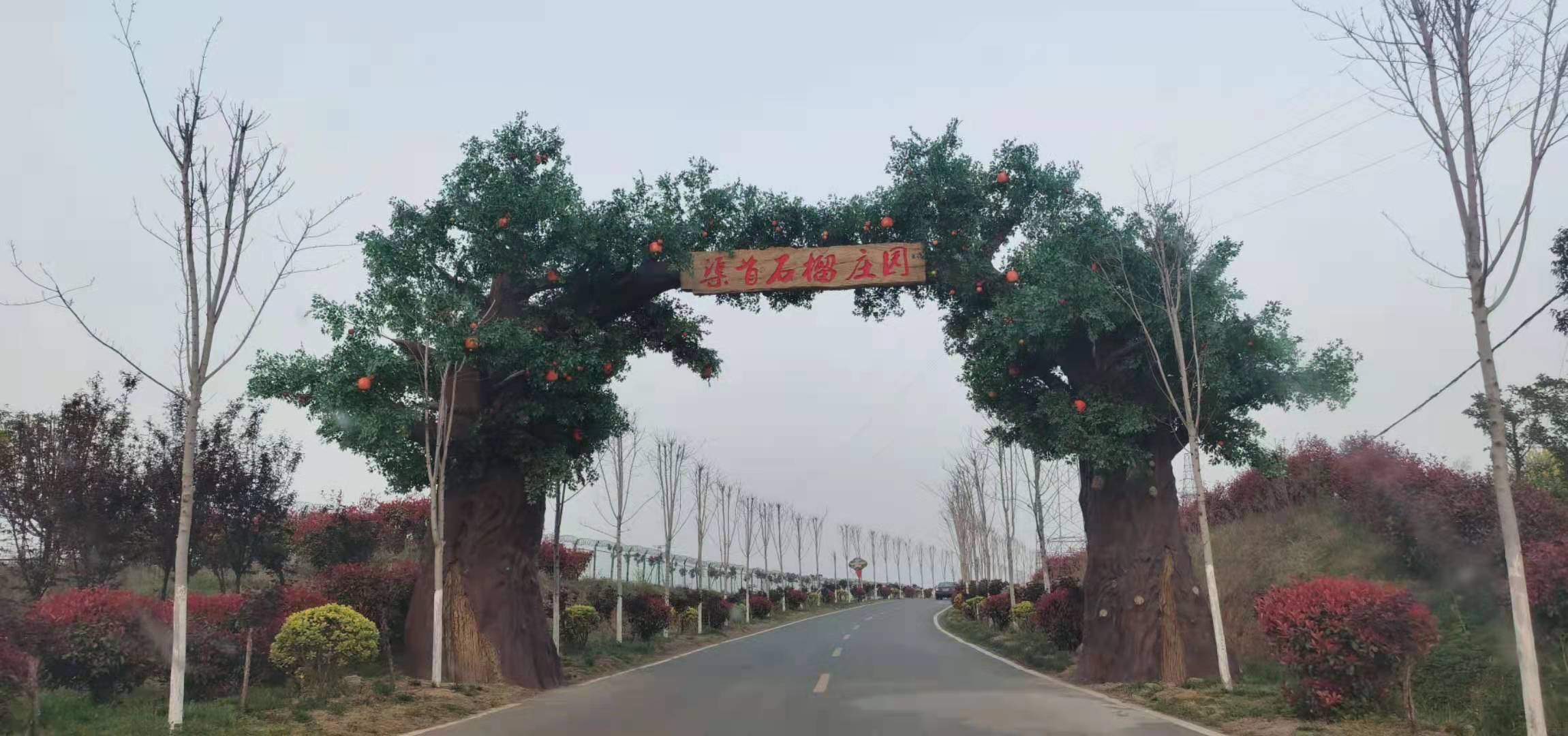 农谷能建公司签定河南万亩软籽石榴种植基地土壤改良与全程营养服务合同